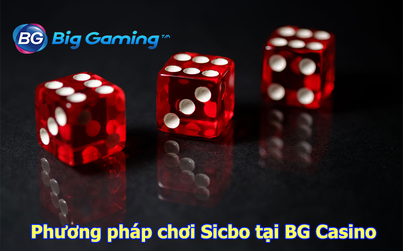 Chơi Sicbo tại nhà cái uy tín Big Gaming Casino